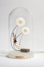 Load image into Gallery viewer, Dandelight Special Edition 2023, The Fertile Edition