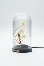 Load image into Gallery viewer, Dandelight Special Edition 2022