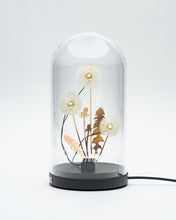 Load image into Gallery viewer, Dandelight Special Edition 2022