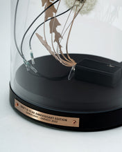 Load image into Gallery viewer, Dandelight Special Edition 2022