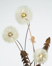 Load image into Gallery viewer, Dandelight Special Edition 2022