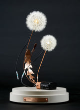 Load image into Gallery viewer, Dandelight Special Edition 2021, The Hope Edition