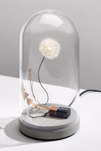 Load image into Gallery viewer, DANDELIGHT with dome