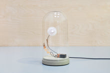 Load image into Gallery viewer, DANDELIGHT with dome