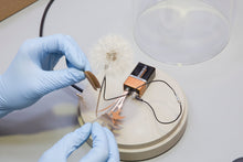 Load image into Gallery viewer, DANDELIGHT with dome