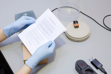 Load image into Gallery viewer, DANDELIGHT with dome