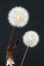 Load image into Gallery viewer, Dandelight Special Edition 2021, The Hope Edition
