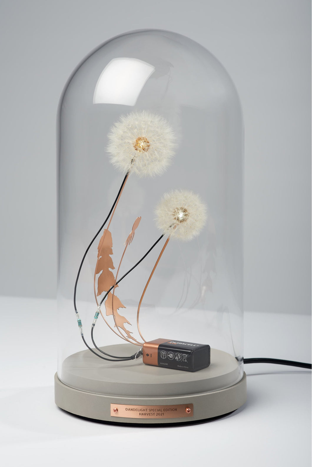 Dandelight Special Edition 2021, The Hope Edition